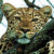A pixelated close-up of a spotted feline face with brown and black fur, green eyes, and visible whiskers against a blurred background.