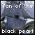 Pixelated image of a ship with sails against a sky background, overlaid with white text reading 'fan of the black pearl'.