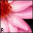 Pixelated pink and red flower with black arrow shape on right, white background, small 'R' symbol in bottom left corner.