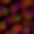 Animated sequence of abstract floral shapes in warm reds and purples with dark central branches, transitioning from blurred to sharp forms.