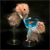 Animals icons for AIM, MSN, MySpace and Yahoo