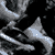 Six grayscale show a creature's mouth opening wider , with the bottom-right displaying a golden 'Tomb Raider' logo on black