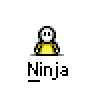 Animated contact sheet of 21 pixel art frames showing a ninja character in various poses and actions with visible text "Ninja" beneath each frame.