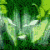 Animated sequence of green and yellow leafy shapes shifting across a dark background with subtle light reflections.