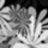 A black-and-white animated contact sheet showing two frames of a snowflake-like pattern with radiating lines and pixelated edges on a transparent background.