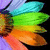 Pixelated abstract shape with gradient colors transitioning from purple to cyan, green, yellow, orange, and red against a black background.
