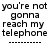 Pixelated text reads "you're not gonna reach my telephone" with a dashed line below, displayed in two color variations.
