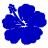 Blue hibiscus flower icon with white 'M' and blue 'A', 'R', 'y' letters on alternating blue and white background squares.