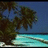 A beach scene with palm trees and turquoise water under a blue sky, displayed in a with visible pixelation