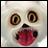 Pixelated image of a white dog with wide eyes and open mouth on left, adjacent to text "Twisted Whiskers" above red collar graphic and "THE 2003 AOC" below.