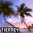 Two side-by-side pixelated images of palm trees at sunset with the text "TIERNEY" in block letters below each, differing only in color saturation.