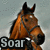 Pixelated brown horse head with black mane and ears, white eye patch, dark bridle, standing against light gray background with bold 'SOAR' text below.