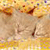 A pixelated image of a light brown animal with dark brown patches, standing on a beige background with scattered orange and yellow tones.