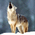 A wolf stands on snow with its head raised, mouth open in a howl, against a blurred blue-gray background. To the right, green text reads 'Original Icons .com' on dark green.