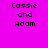Four display 'Cassie and Adam' text in pixelated font against solid backgrounds: top-left magenta, top-right purple, bottom-left blue, bottom-right dark purple