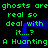 Green pixelated text repeats 'ghosts are real so deal with it...?' and 'A Huanting' on black background, blue outline shifts horizontally across frame.