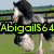 A four- shows a horse in various poses with overlaid text: 'AbigailS64' on top-left, 'Loves' on top-right, and 'Horses' on bottom-left