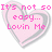 Pixelated pink heart with gray outline containing text fragments across four , showing animation changes in visible text content