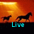 Silhouetted horses run across an orange sunset background with text changing from Live to Love to Horses.
