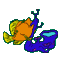 Two pixelated cartoon fish with orange bodies, yellow fins, and blue accents on a gray background; one fish has a light blue belly while the other's belly is dark purple.