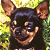 Pixelated close-up of a dog's face with large ears, dark fur, and light brown muzzle against green-yellow background.