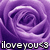 A pixelated purple rose with layered petals and a gradient center, overlaid with white text reading 'iloveyou' and a heart symbol.
