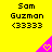 Yellow background with black text 'Sam Guzman <33333' repeated three times, each above a pink triangular shape containing a yellow heart symbol.