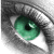 nine grayscale eye images with green irises, each containing distinct pixelated text below the eyes