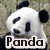 Two panda images with text overlays: left shows "Panda" over a side-facing panda, right shows "MANIA!" over a front-facing panda on grass background.