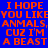 Blue background with orange text repeating 'I HOPE YOU LIKE ANMALS, CUZ I'M A BEAST' in a pattern; green rectangles highlight specific words