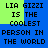 Pixelated text repeats 'LIA GIZZI IS THE COOLEST PERSON IN THE WORLD' across a blue and green background in a