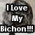 A four- shows a dog with text overlays: 'I Love My Bichon!!!' top-left, 'And...' top-right, and 'My New Cairn Terrier Puppy!!!' bottom-left