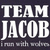 Pixelated text displays 'TEAM JACOB' in large white letters on dark background with smaller gray text below, next to green pixelated text reading 'r u afraid of the big bad WOLF?' on black.