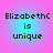 Four identical pixelated text on a pink-to-blue gradient background, each displaying 'ElizabethC is unique' in dark green block letters