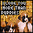 A static image shows a person holding multiple puppies against a golden glittery background with text reading "I LOVE YOU MORE THAN PUPPIES" at the top.