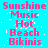 A static image with a bright cyan background displays repeated pink text reading "Sunshine Music Hot Beach Bikinis" in a pattern, with pixelated white noise scattered across the text