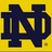 Yellow background with dark blue 'ND' logo, black text reading NEVER LIKED YOU and ELLEN!, and a vertical line on the right.