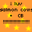 Pixelated orange background with yellow stars, displaying repeated text 'i luv salmon caws + CB' and dotted lines in two identical horizontal sections.