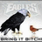 Pixelated static image shows a large black bird with white head and yellow beak standing on ground, facing right toward small brown bird.