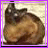 Two side-by-side animated frames of a buddy icon showing a brown object on the left and purple text "what?" on the right with a light purple background.