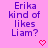 Purple text on pink background reads 'Erika kind of likes Liam?' with a red pixelated heart below the right side.