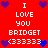 Red background with white text reading "I LOVE YOU BRIDGET (333333)" repeated twice, surrounded by purple and blue pixelated hearts.