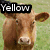 Brown cow head in grassy field with text labels 'Yellow', 'Bull', and 'Ranch' overlaid on black rectangles.