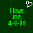 Green pixelated text on dark green background with white heart symbol above, showing identical static display of 'I love Joe. 4-9-08' in two side-by-side sections.