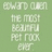 Green background with pixelated text reading 'OWN OWN THE MOST BEAUTIFUL PICTURES' in light green letters.