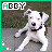 Animated contact sheet of a white dog with black ears and collar lying on grass, displayed in 13 frames across a grid layout.