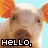 iconhell_bacon