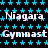 Static image with repeating text and star pattern on black background, featuring 'Niagara' and 'Gymnast' in white pixelated font.