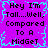 Pixelated text on a purple background with cyan border, repeating 'Hey I'm Tall...Well, Compared To A MidGeT' in four identical sections.