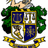 Pixelated heraldic shield with four quadrants, green foliage on sides, golden anchor base, and a knight's helmet above.